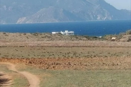 terrain agricole près de la mer