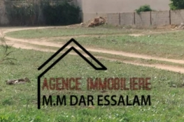 un lot de terrain près de la plage sableuse à vendre