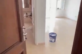 À vendre un appartement s+2