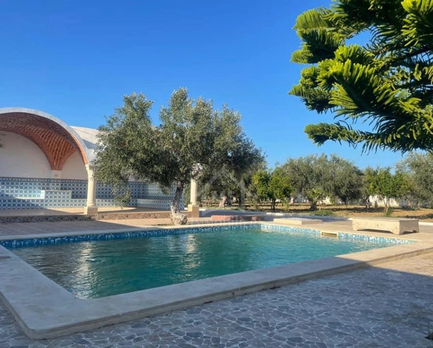Une grande propriété à hammamet sud à vendre 51355351
