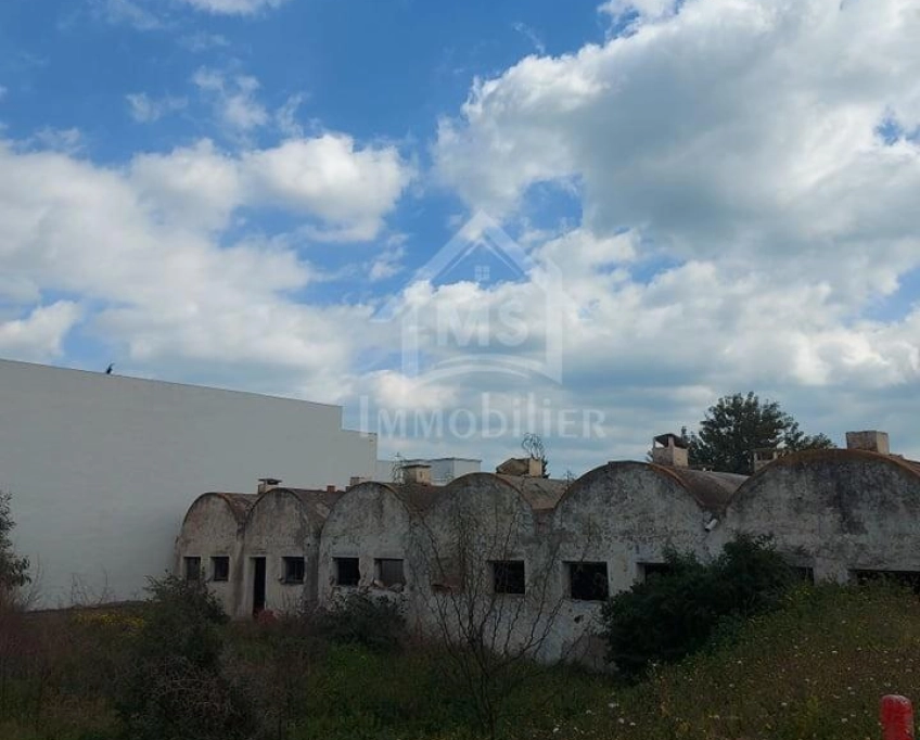 Terrain de 400 m² à vendre à hammamet zone théâtre 51355351