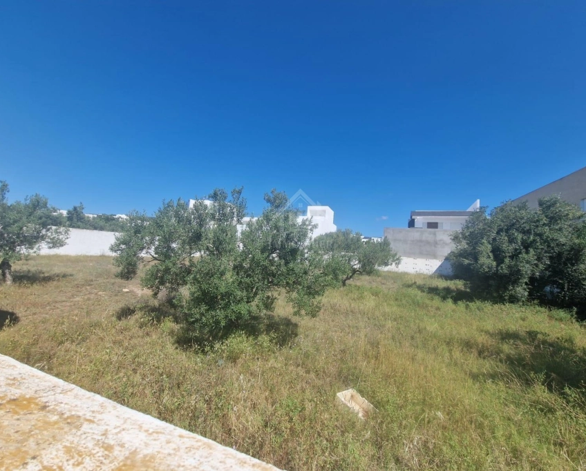 Superbe terrain de 1000 m² à mrezga à vendre 51355351