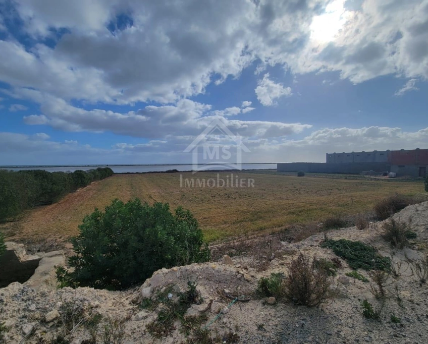 Terrain pieds dans l'eau de 3333 m² à korba à vendre 51355351