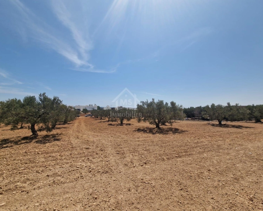 Terrain de 4018 m² à vendre à 200 dt/m² à hammamet sud 51355351