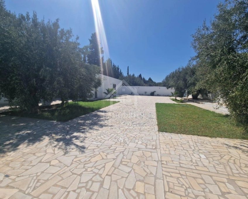 Spacieuse maison s+2 à hammamet sud à vendre 51355351