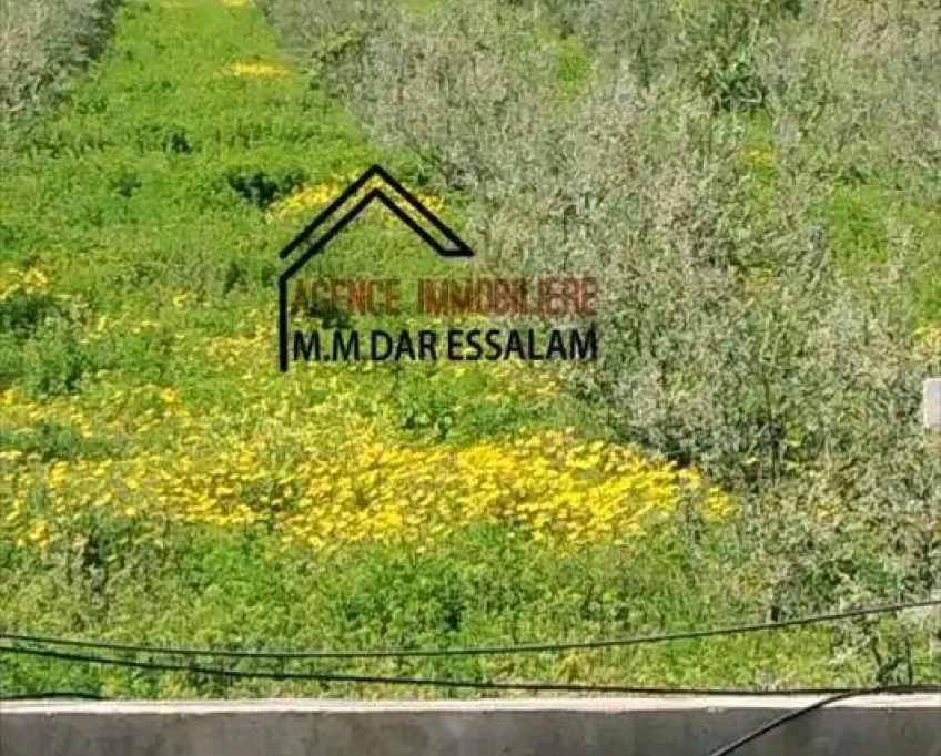 Terrain agricole contenant une villa