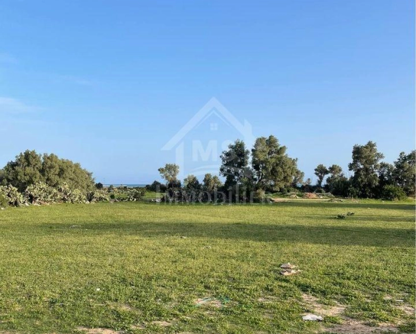 2 lots de terrain vue de mer à vendre à jinen béni khiar