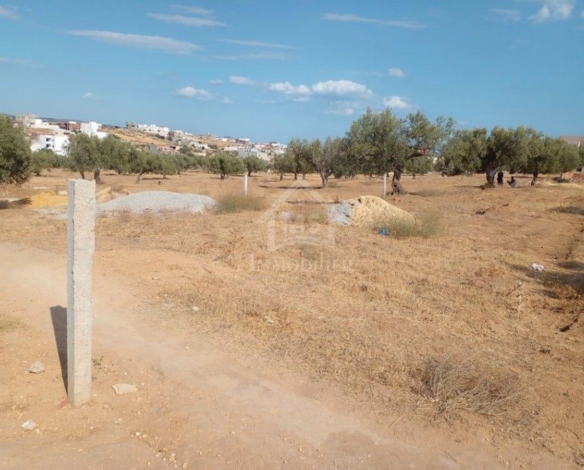 Terrain de 400 m² avec vue de mer à hammamet sud à vendre 51355351