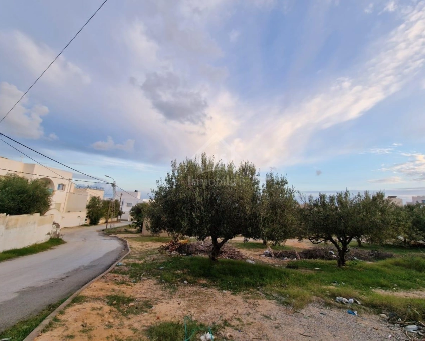 Terrain vue de mer de 1122 m² à vendre à hammamet nord 51355351