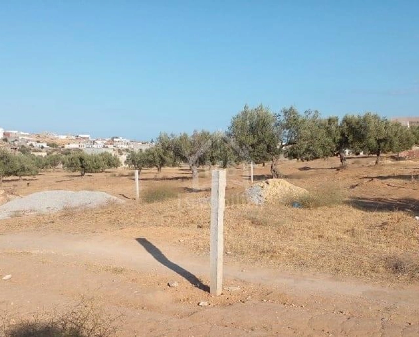 Terrain de 400 m² avec vue de mer à hammamet sud à vendre 51355351