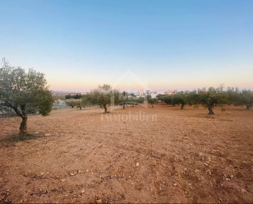 Terrain de 4018 m² à vendre à 200 dt/m² à hammamet sud 51355351