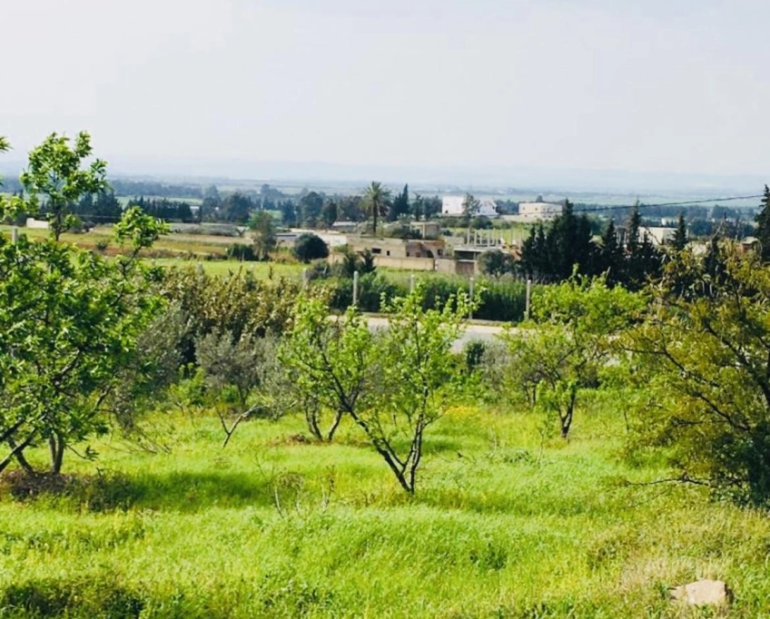 Villa d’exception sur 3 150 m² – panorama à perte de vue – djebel ammar, sidi thabet, l’ariana
