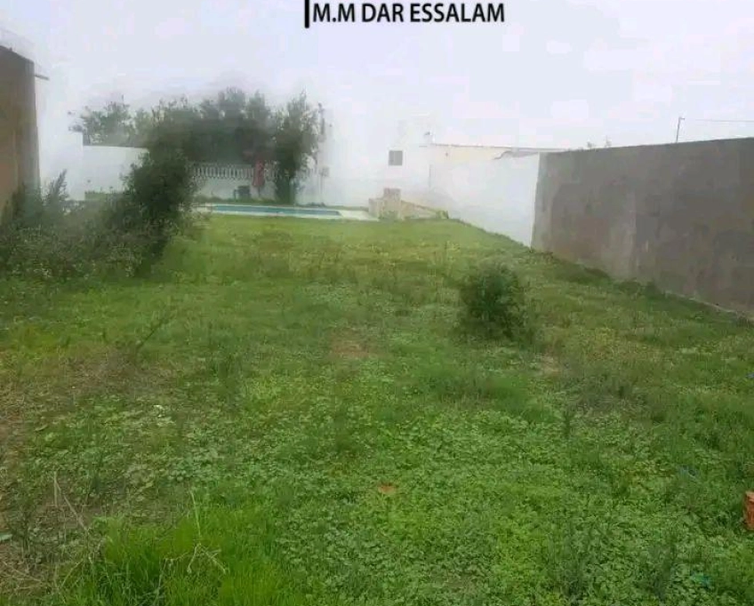 Maison avec piscine et un studio à vendre