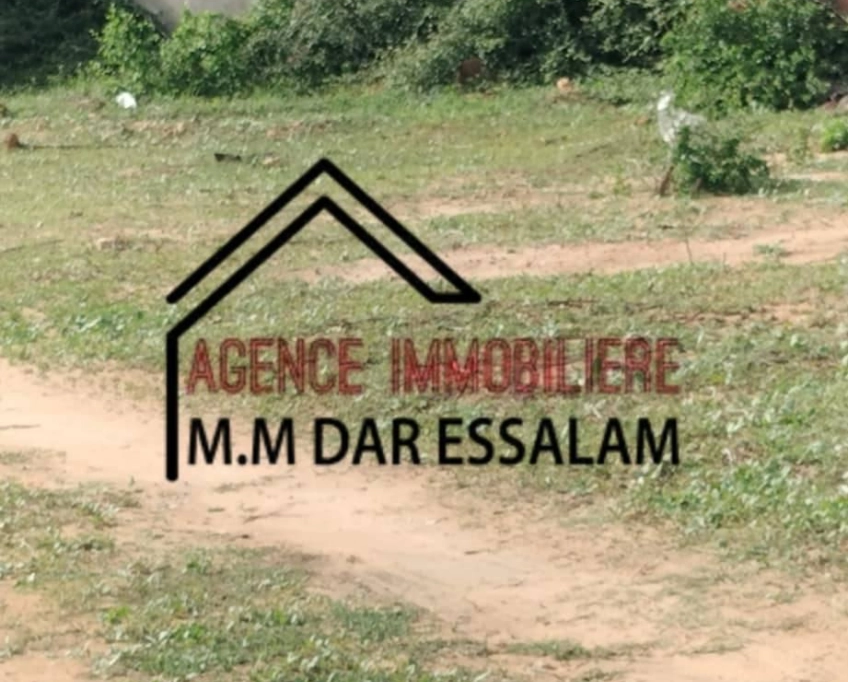 Un lot de terrain près de la plage sableuse à vendre