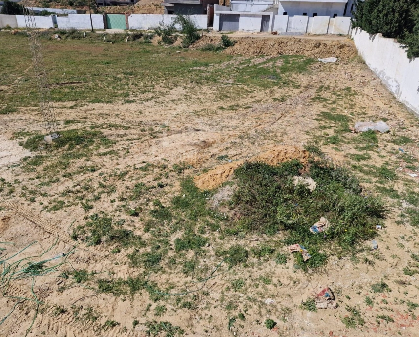 51355351للبيع أرض صبغة سكنية مساحتهتا 387 م² في الحمامات