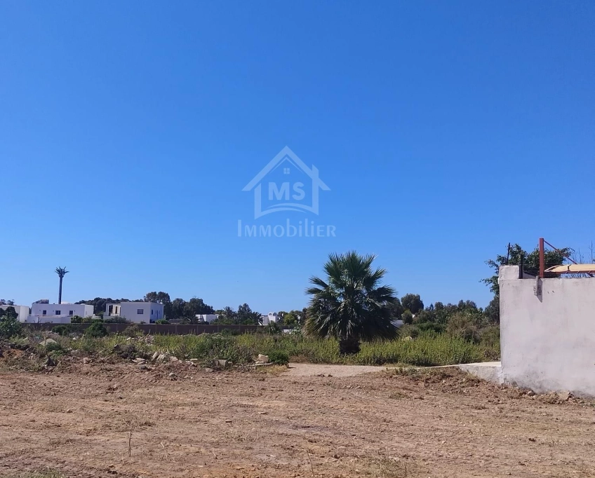 Un lot de terrain de 304 m² à vendre à korba 51355351