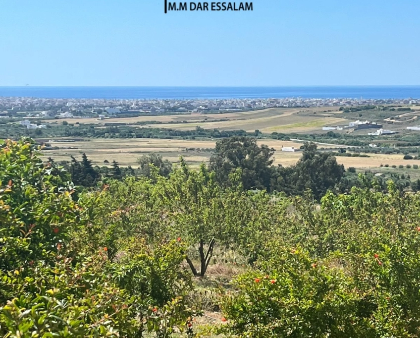 Terrain avec une vue agréable