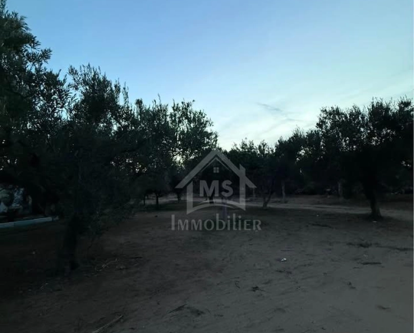 Terrain de 500 m² à daroufaa à vendre 51355351