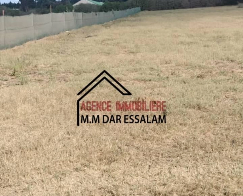 Terrain près de la route principal à vendre