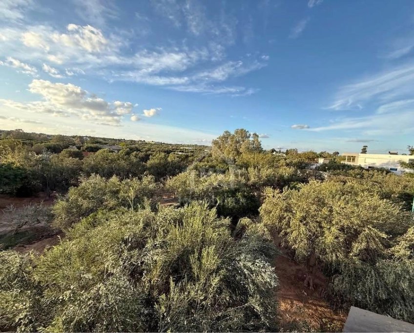 Terrain de 500 m² à daroufaa à vendre 51355351