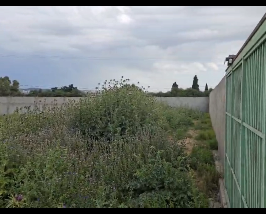 Un terrain de 1000 m2 sur la route principale