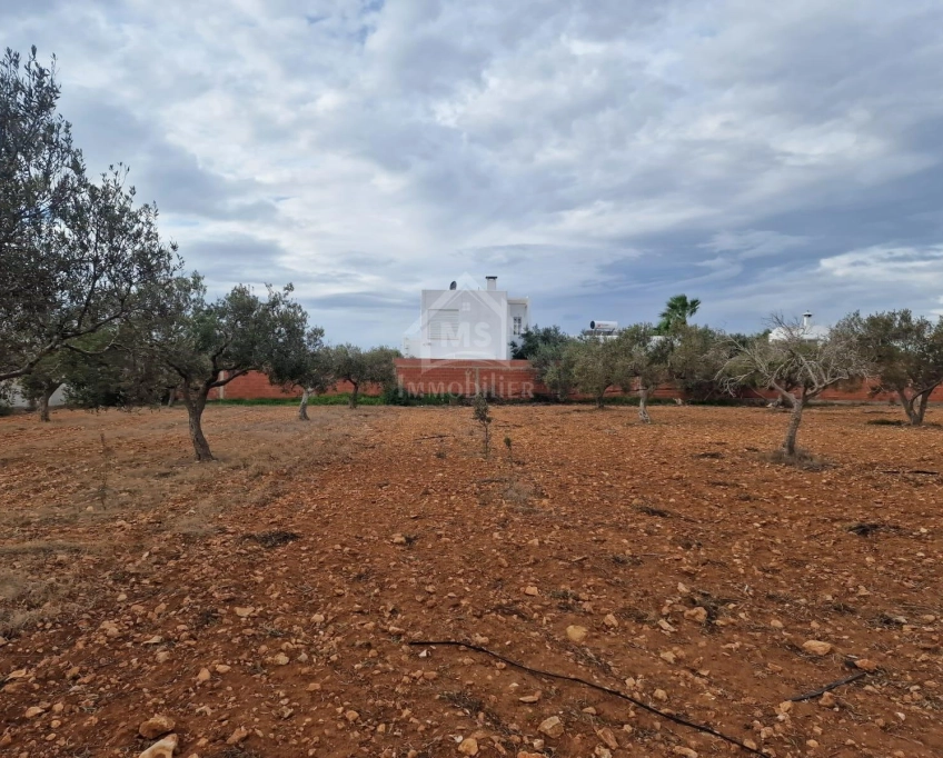 Terrain vue de mer de 2000 m² à daroufa à vendre 51355351