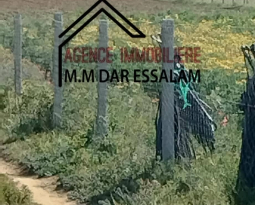 Terrain agricole contenant une maison à vendre