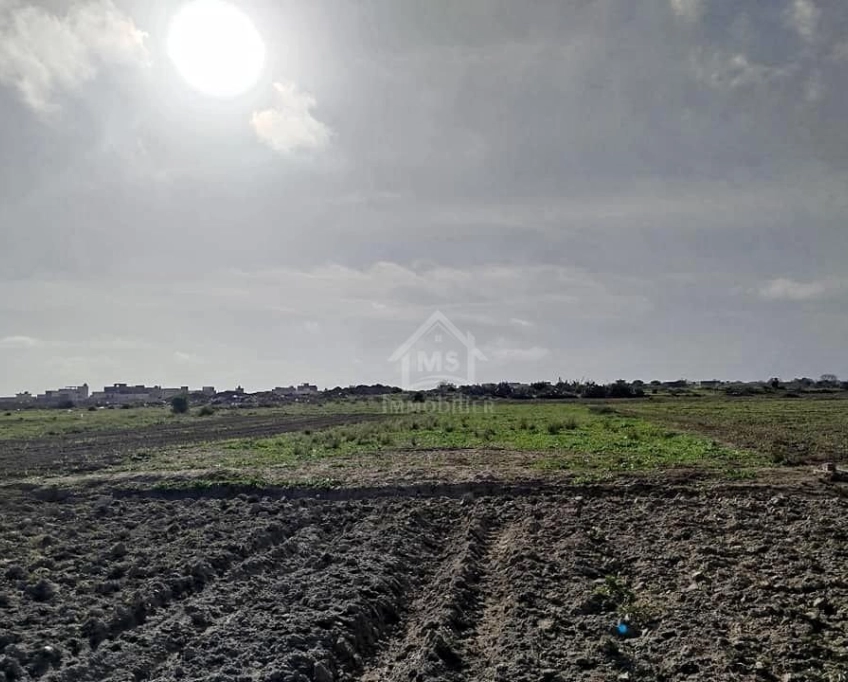Un terrain de 669 m² à maamoura à vendre 51355351