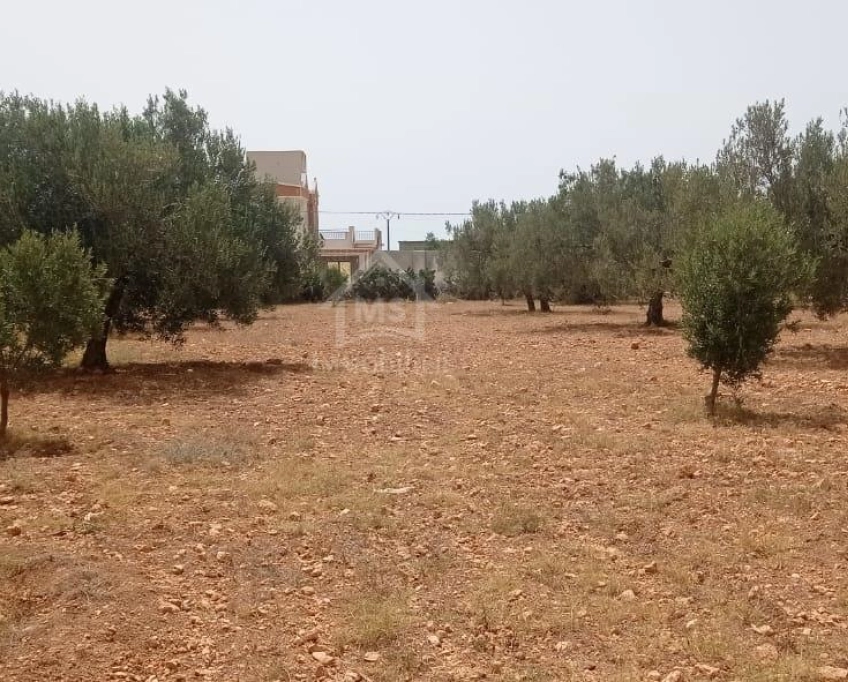 Terrain de 4800 m² à sidi mtir à vendre à 270 md 51355351