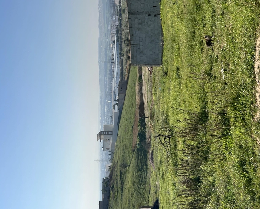 Lots de terrain oued ellil-cité el anber