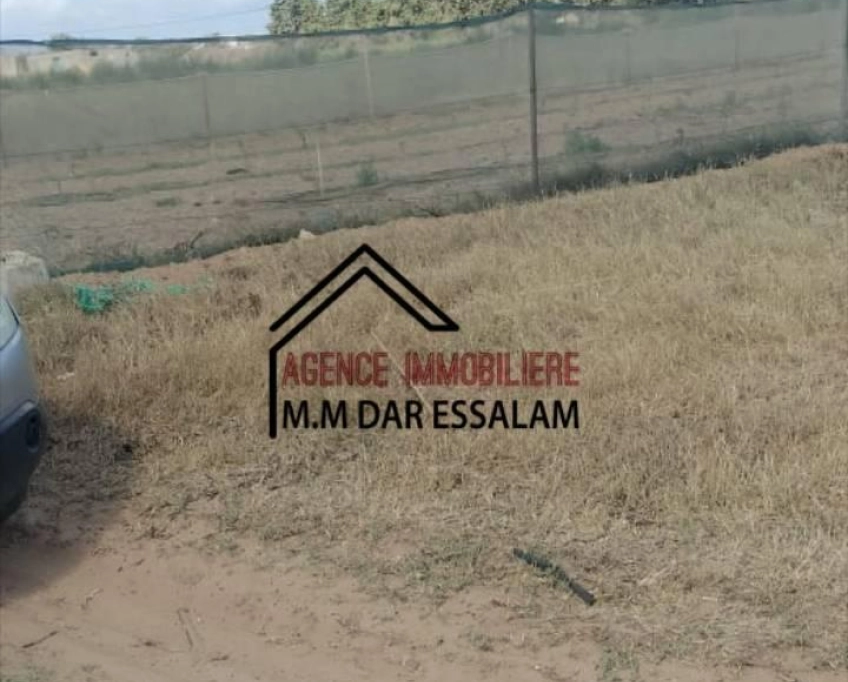 Terrain près de la route principal à vendre