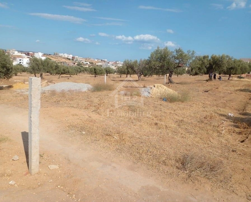 Terrain de 400 m² avec vue de mer à hammamet sud à vendre 51355351