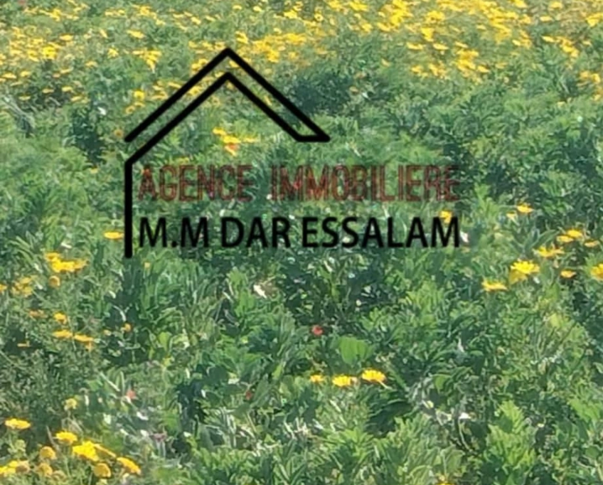 Terrain agricole contenant une maison à vendre