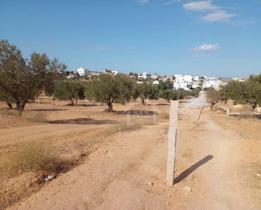 Terrain de 400 m² avec vue de mer à hammamet sud à vendre 51355351