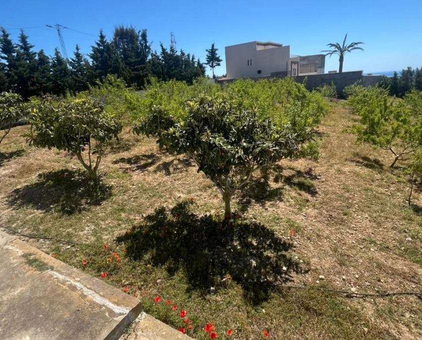 Terrain avec une vue agréable - Photo 7