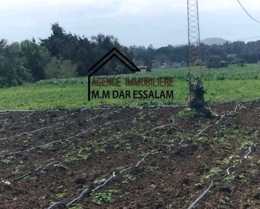 Terrain bonne occasion à vendre