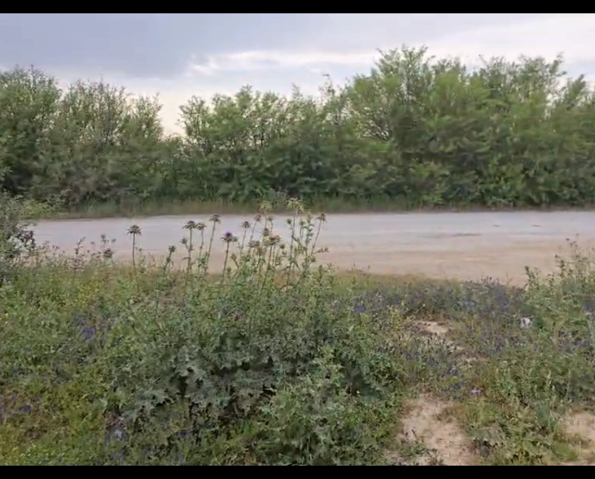Un terrain de 1000 m2 sur la route principale