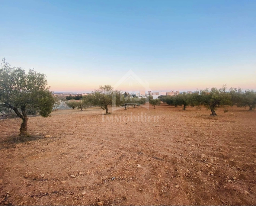 Terrain de 4018 m² à vendre à 200 dt/m² à hammamet sud 51355351