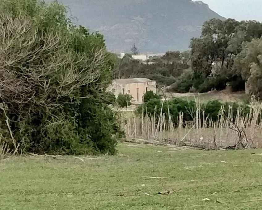 Terrain agricole près de la mer à vendre