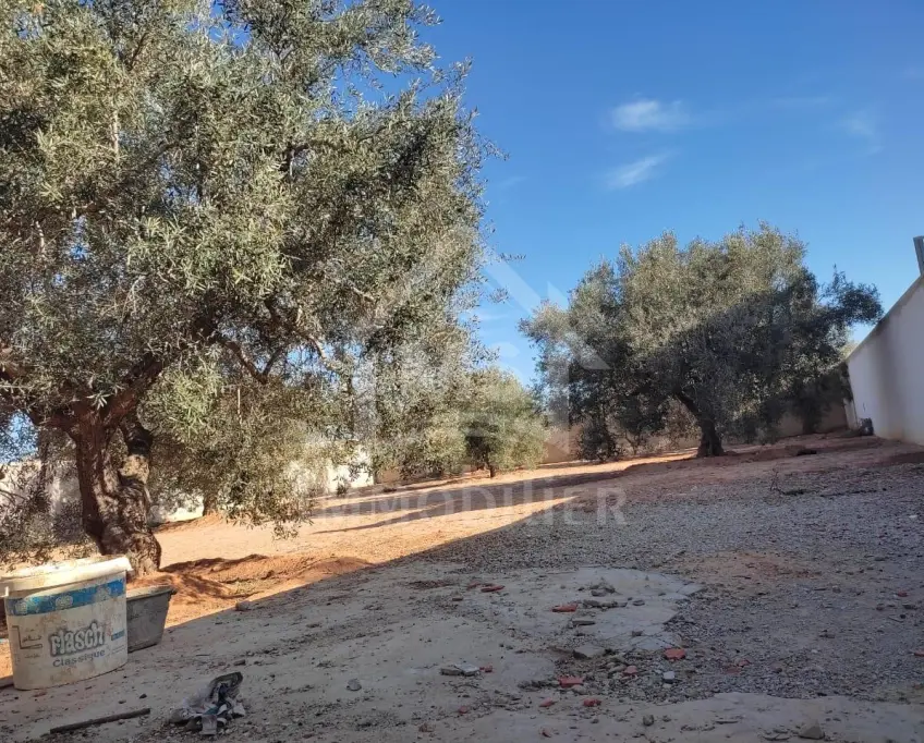 Terrain clôturé de 876 m² à hammamet sud à vendre 51355351