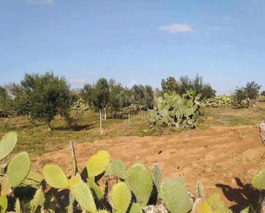 Terrain de 1932 m² à birbouragba à vendre 51355351