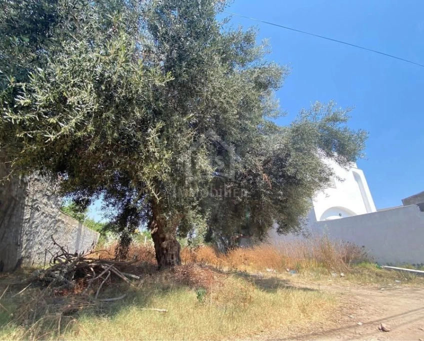 Lot de terrain de 250 m² à hammamet à vendre 51355351