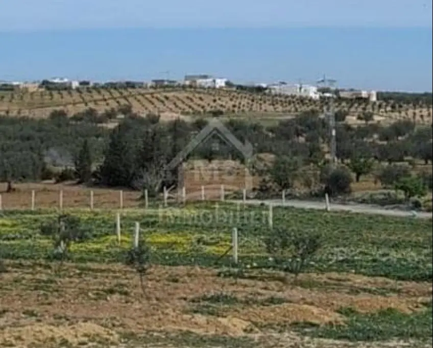 Terrain de 2851 m² à hammamet sud à vendre à 185 md 51355351