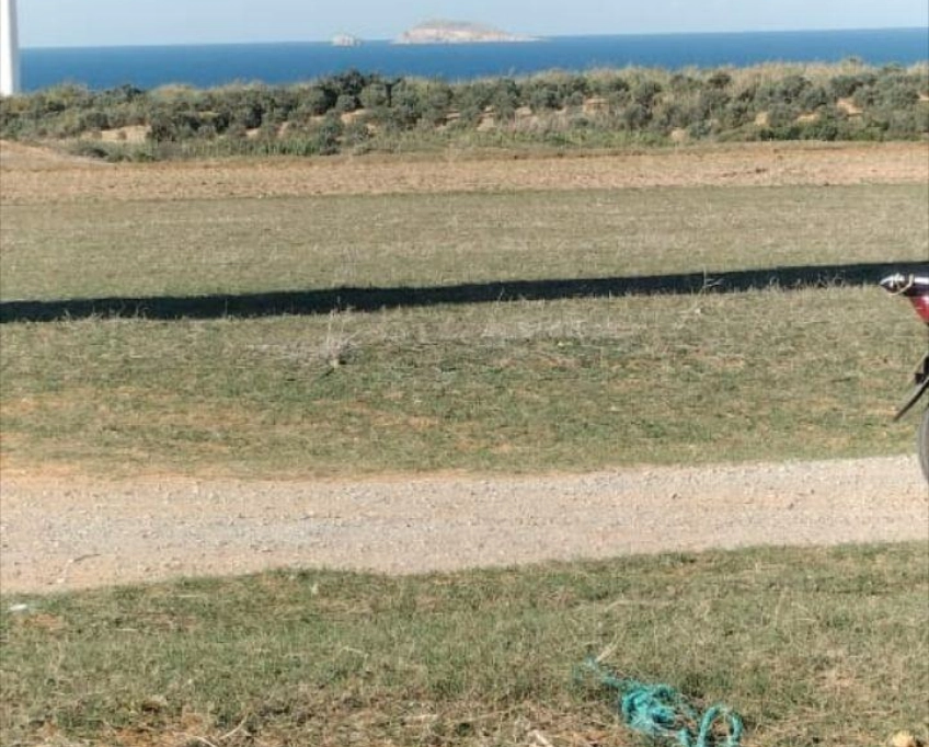 Terrain agricole près de la mer