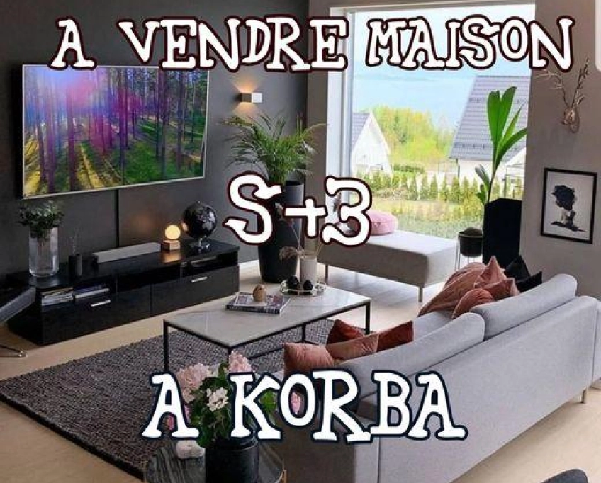 Maison s+3 avec titre bleu à vendre à korba 51355351