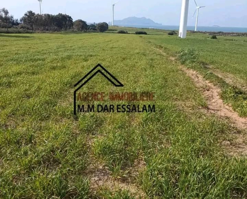 Terrain agricole près de la mer à vendre