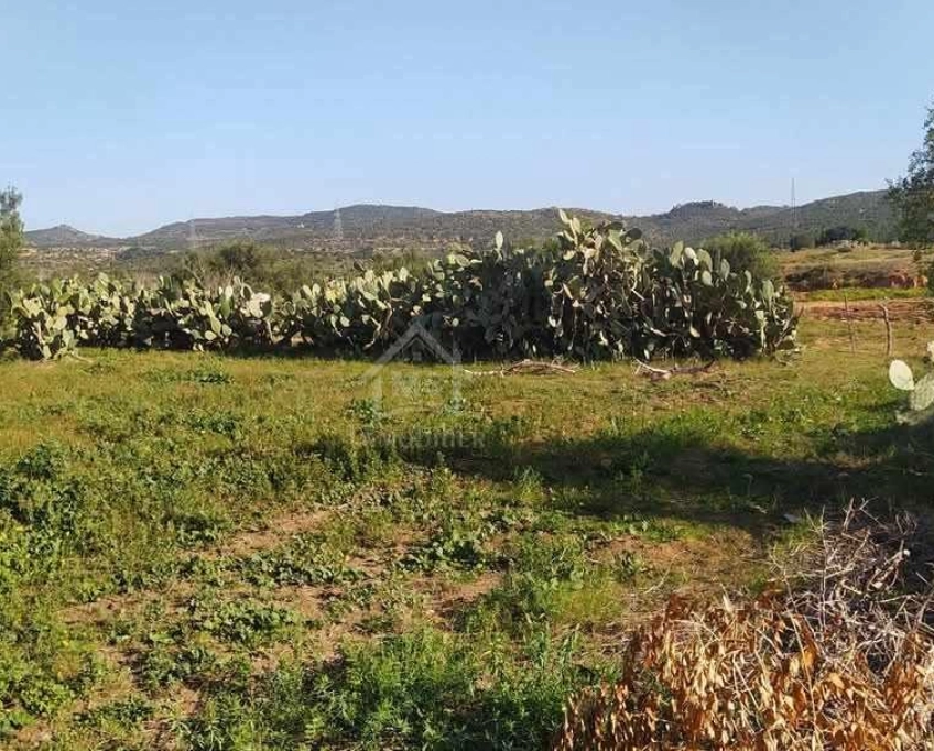 Terrain de 1932 m² à birbouragba à vendre 51355351