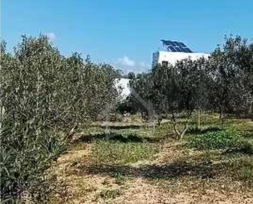 Terrain de 400 m² avec vue de mer à hammamet sud à vendre 51355351