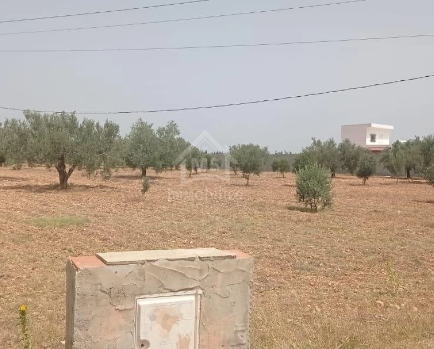 Terrain de 4800 m² à sidi mtir à vendre à 270 md 51355351