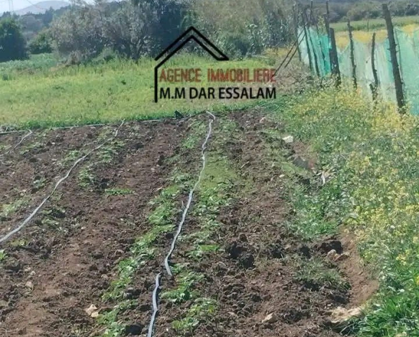 Terrain bonne occasion à vendre